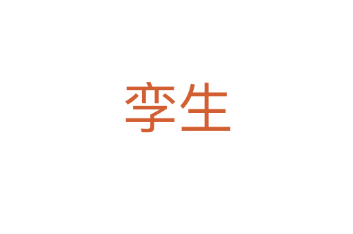 孪生