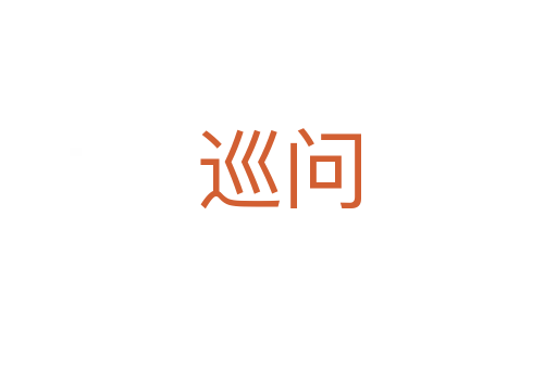巡问